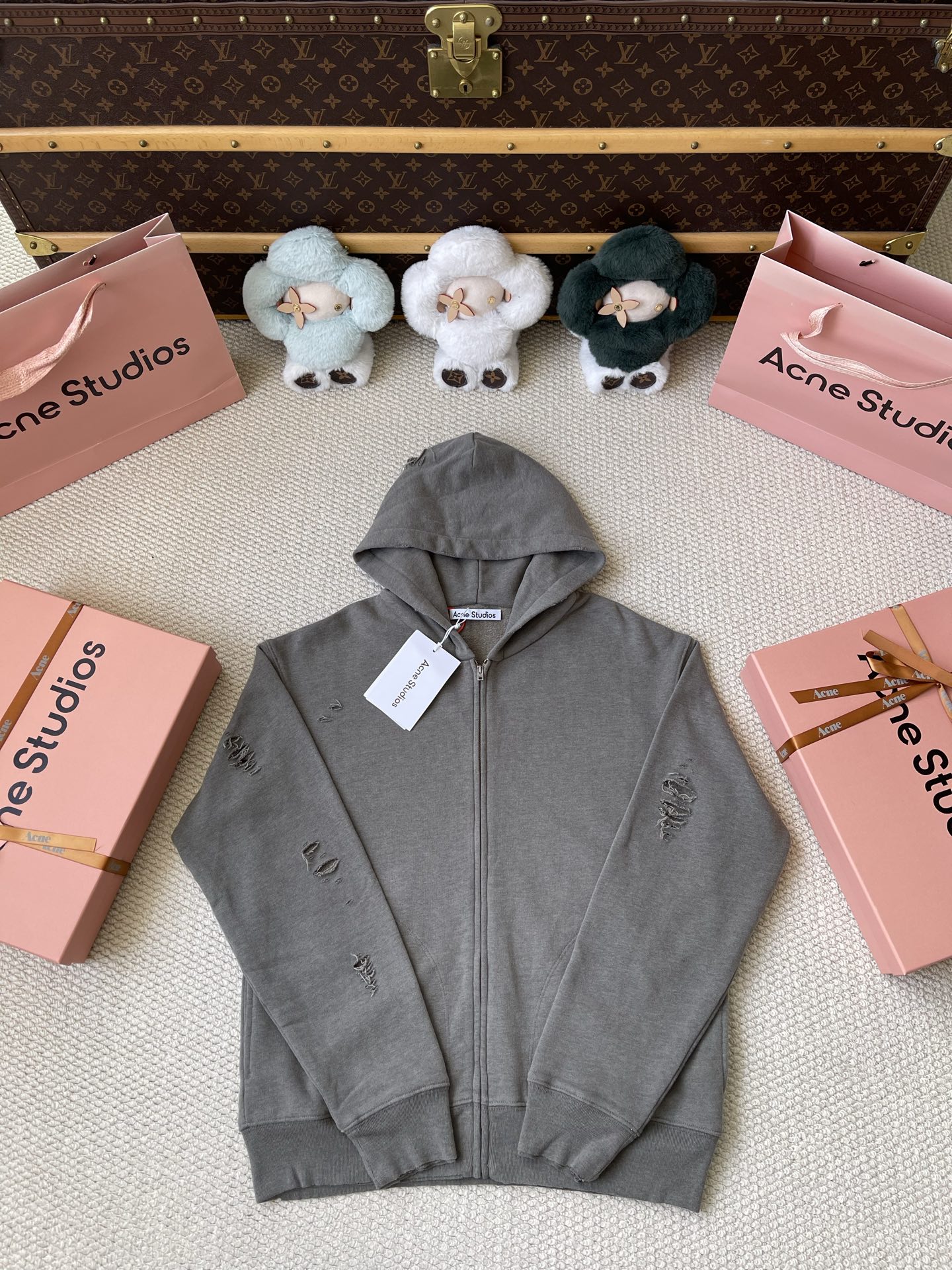 Circle Logo Zip Hoodie — product photograph