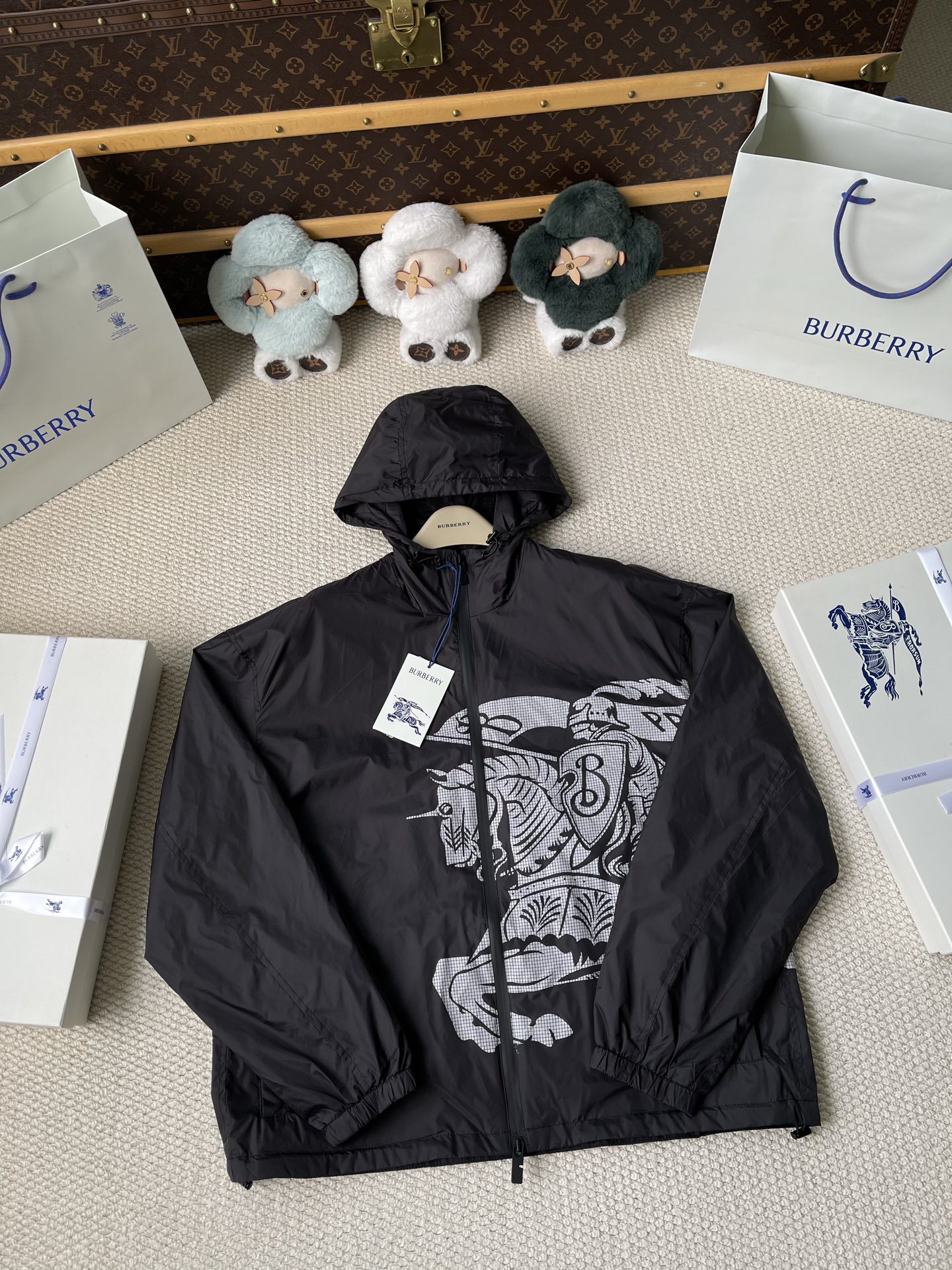 Large-Crest Graphic Windbreaker — product photograph
