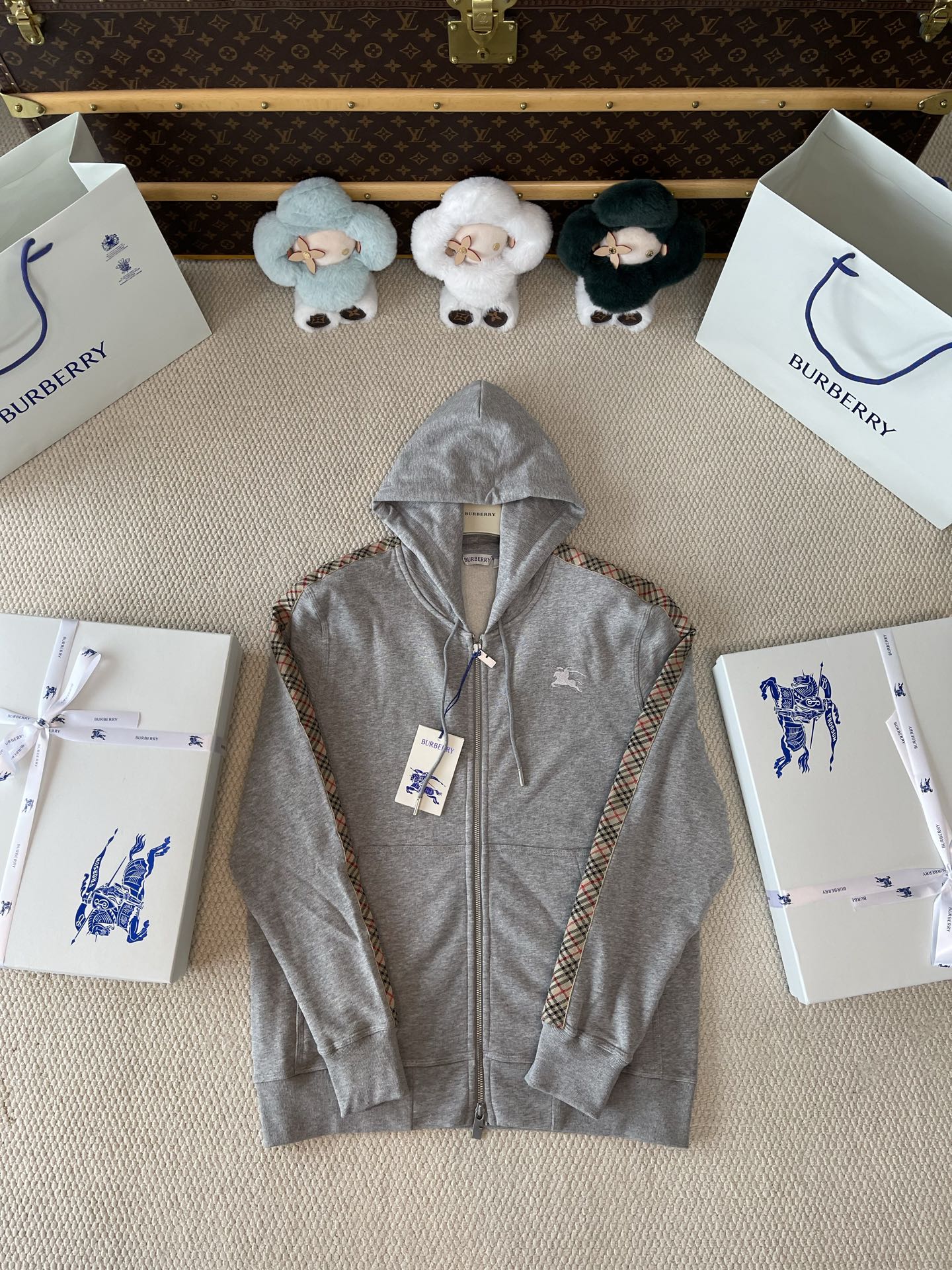 Plush-Lined Zip Hoodie — product photograph