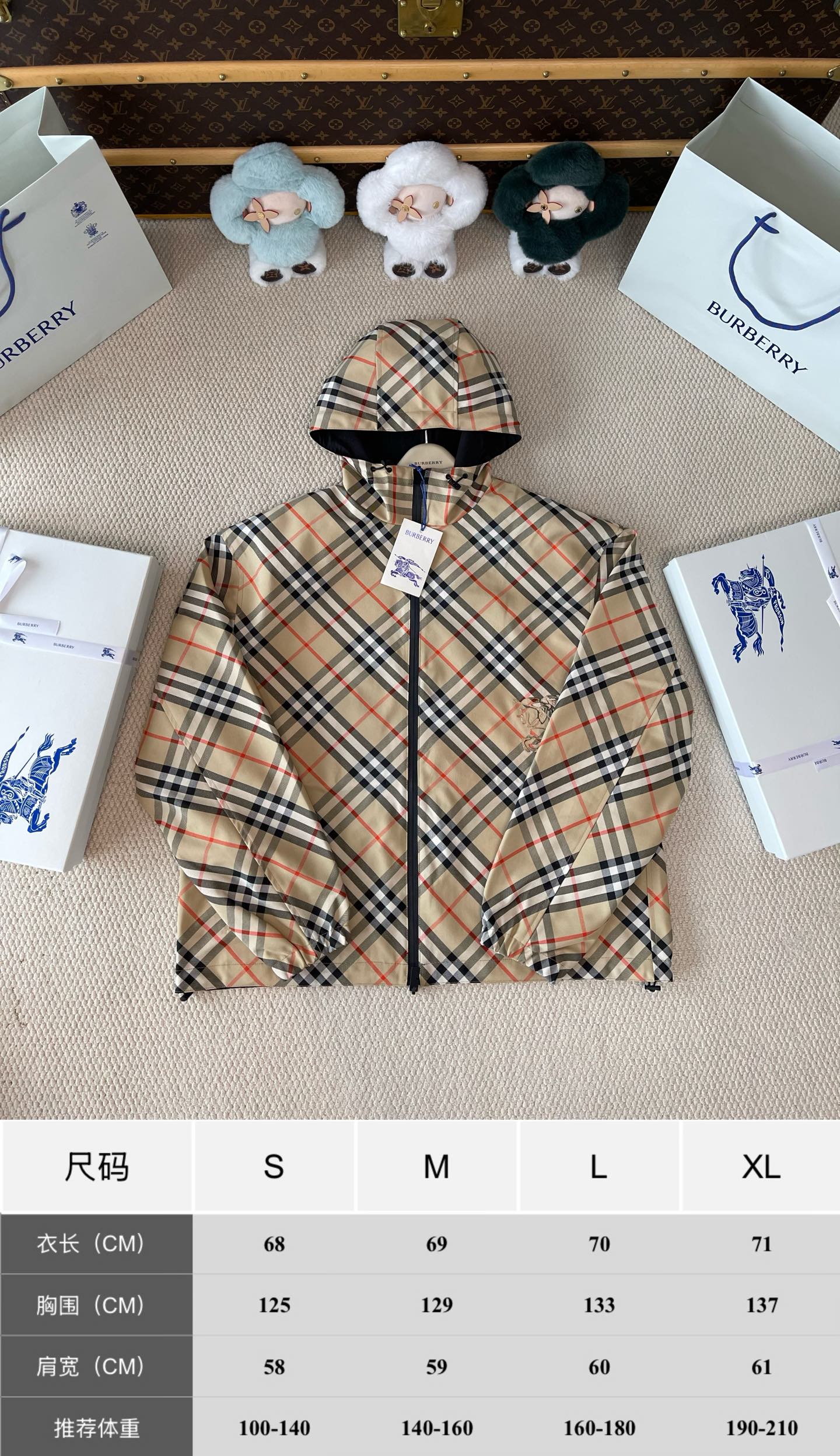 Classic-Check Hooded Zip Jacket — product photograph