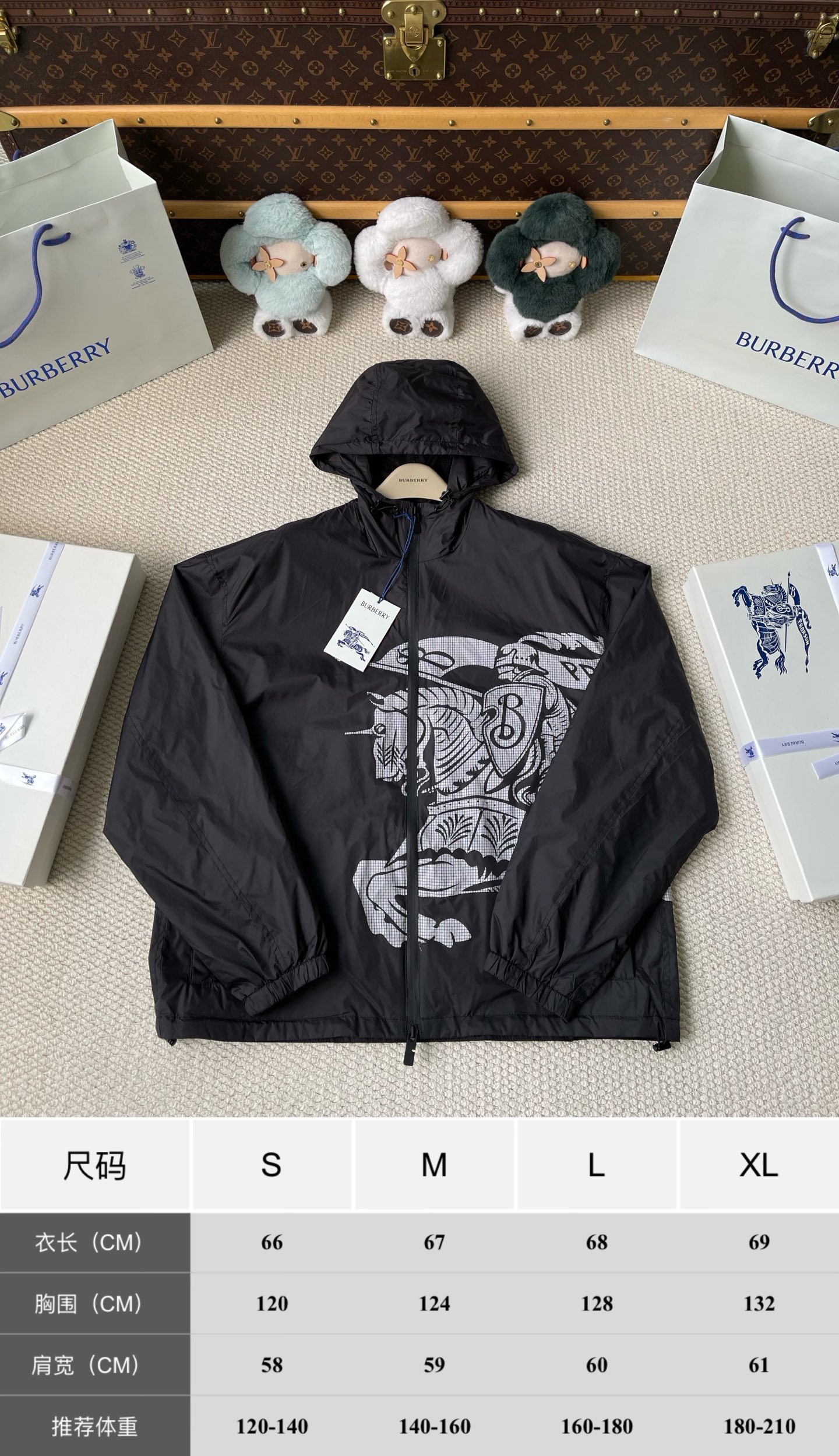 Large-Crest Graphic Windbreaker — product photograph