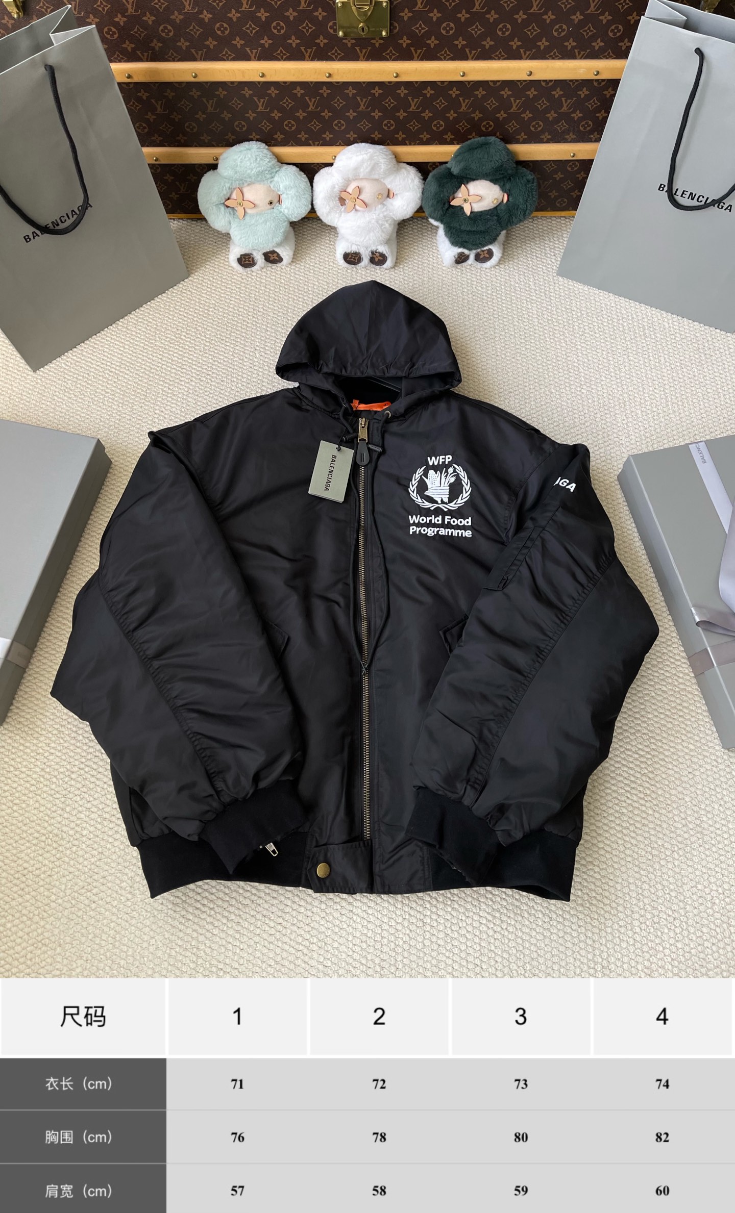 WFP-Graphic Hooded Bomber — product photograph