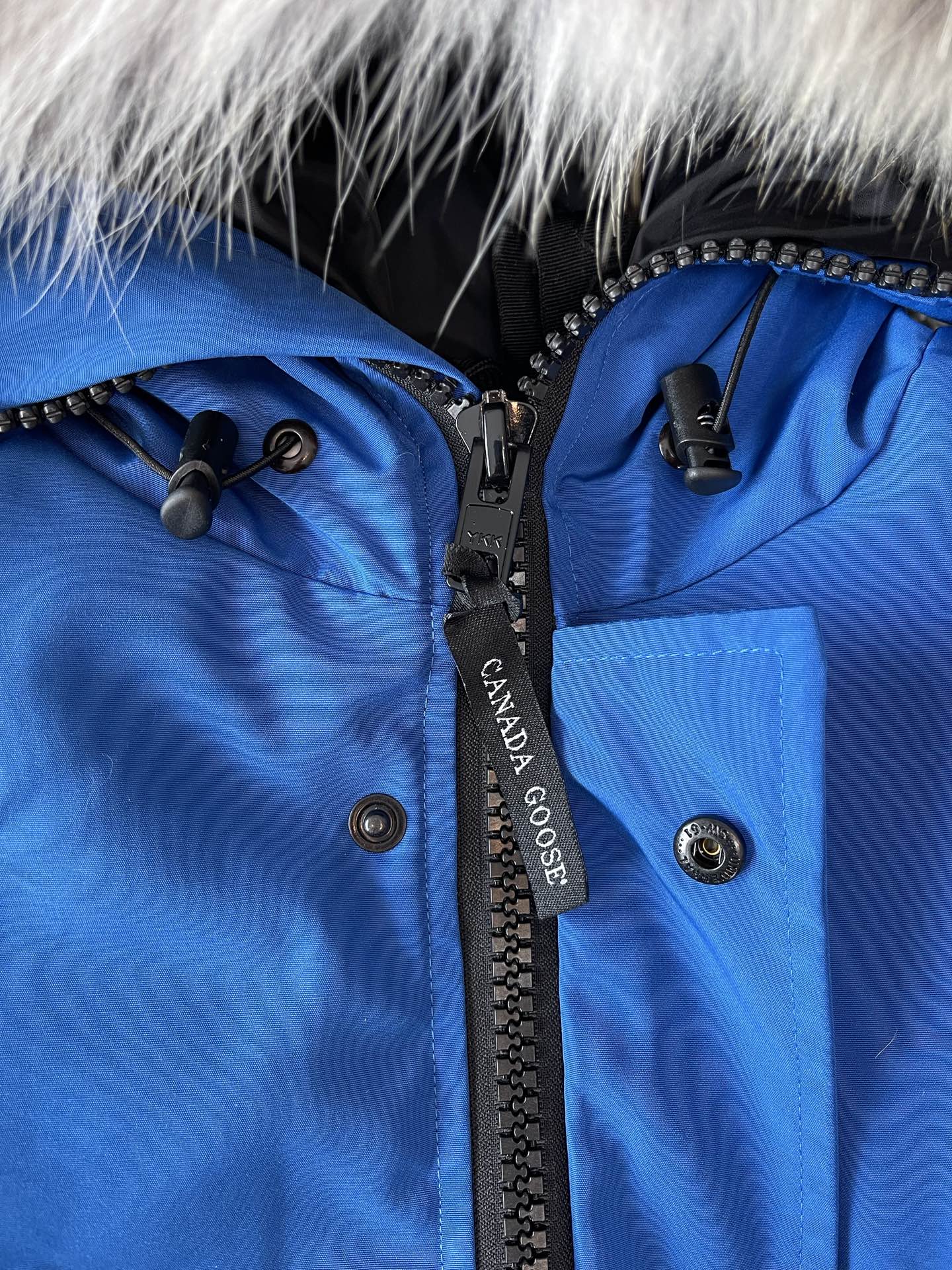 Trimmed-Hood Bomber Jacket — product photograph