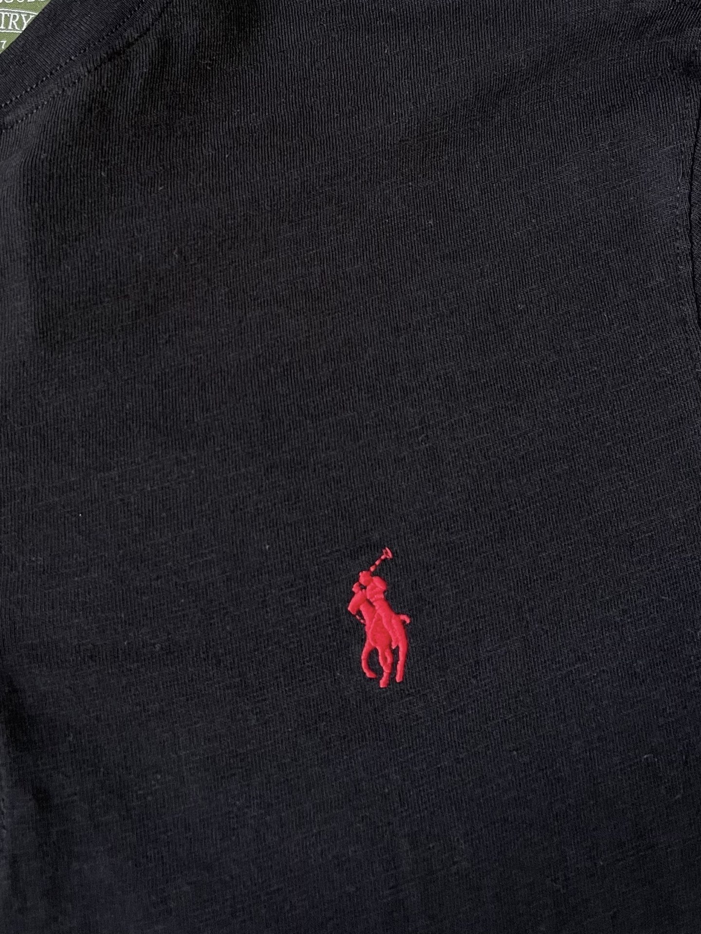 Pony-Embroidered Henley Top — product photograph