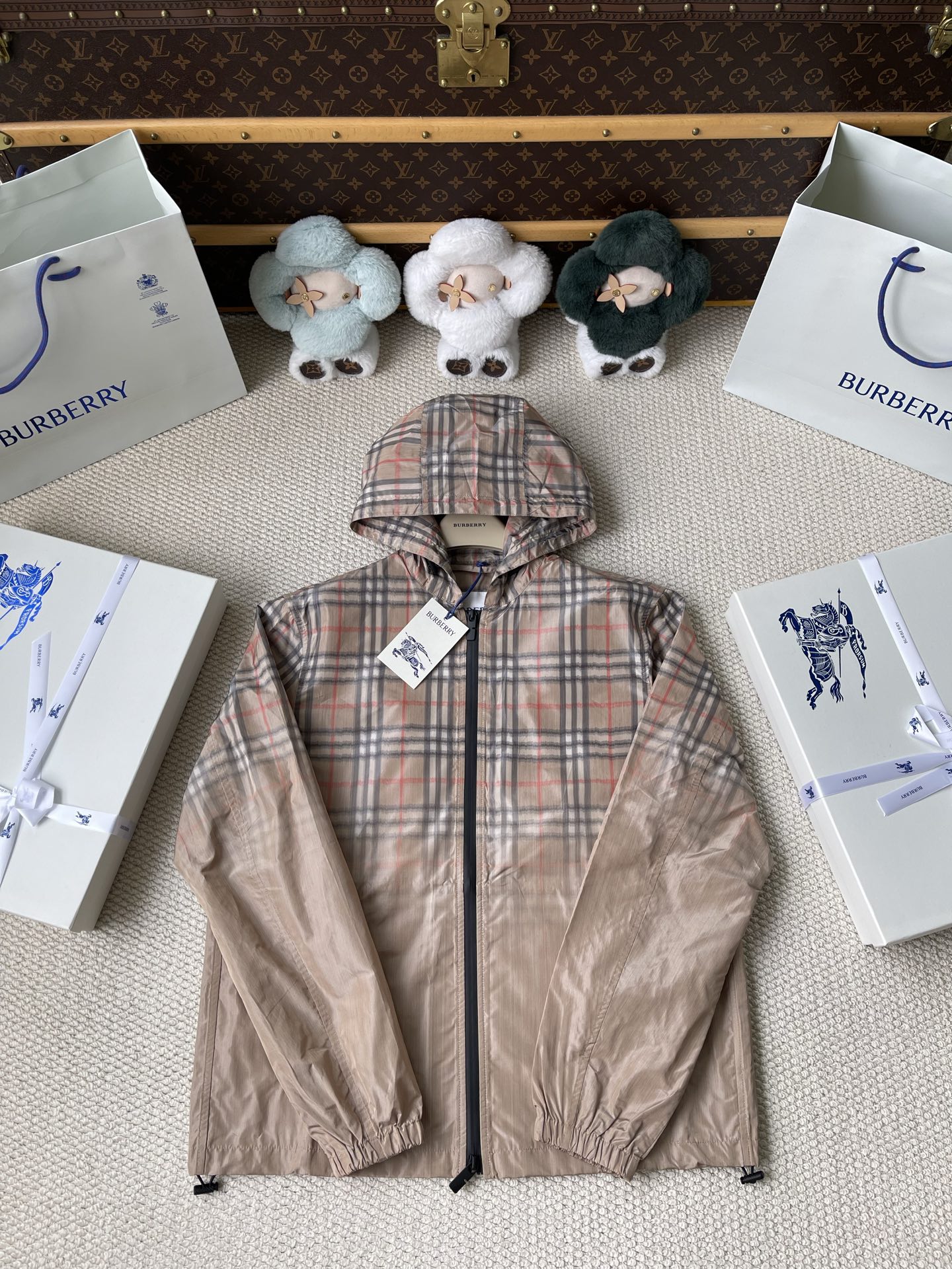 Check-Yoke Hooded Windbreaker — product photograph