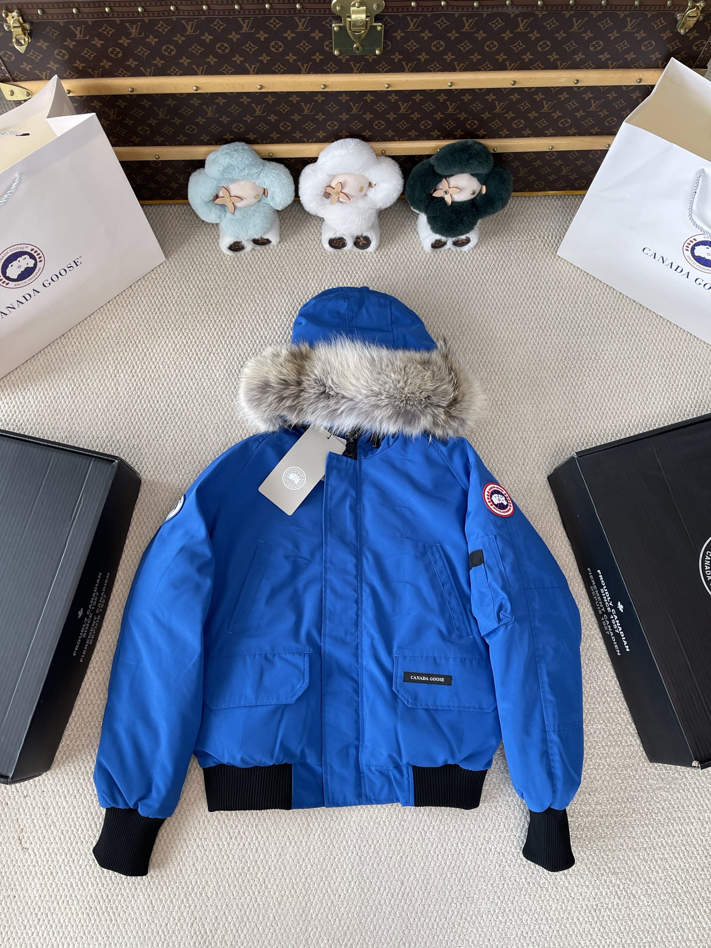 Trimmed-Hood Bomber Jacket — product photograph