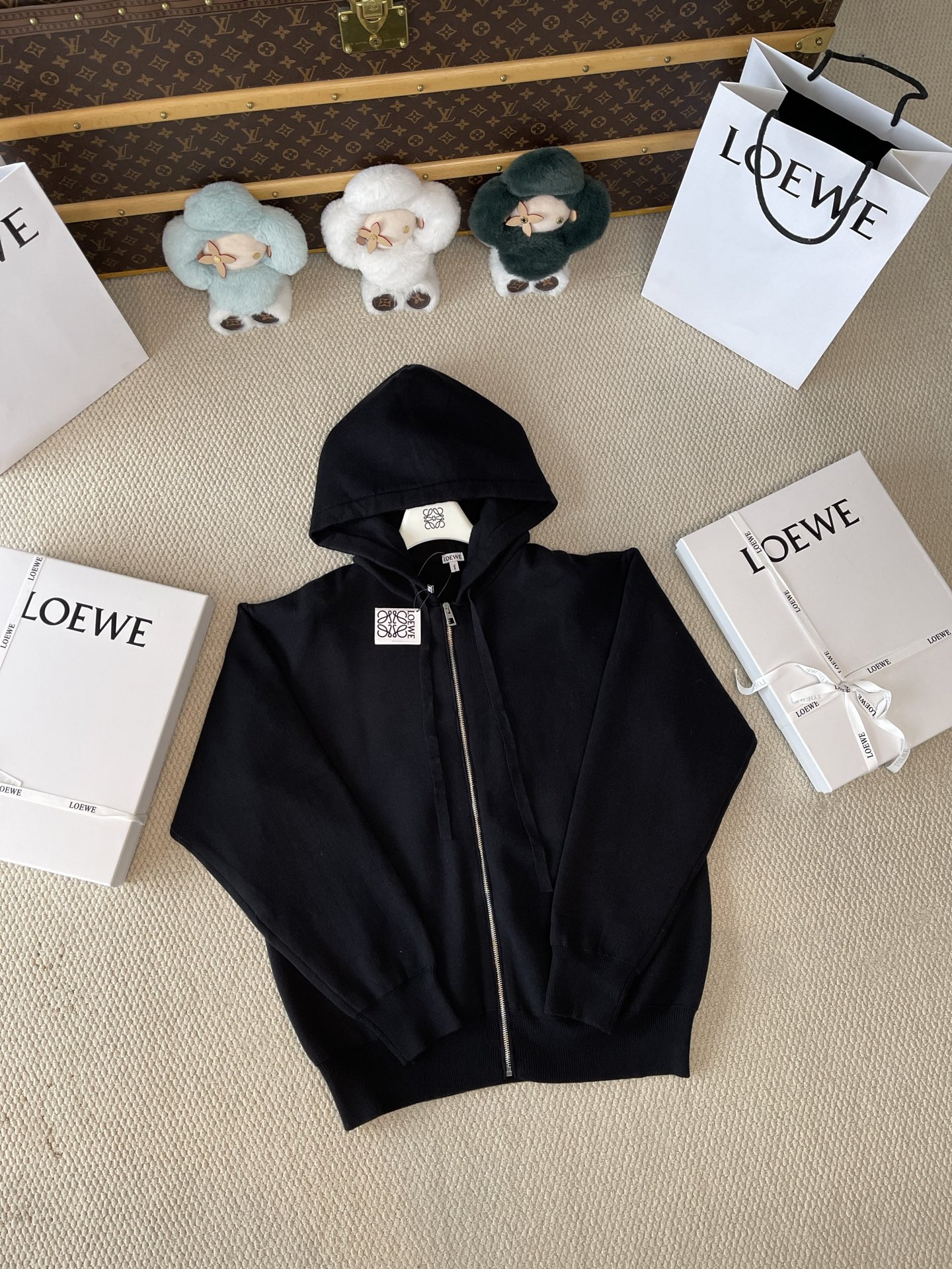 Back-Anagram Zip-Up Hoodie — product photograph