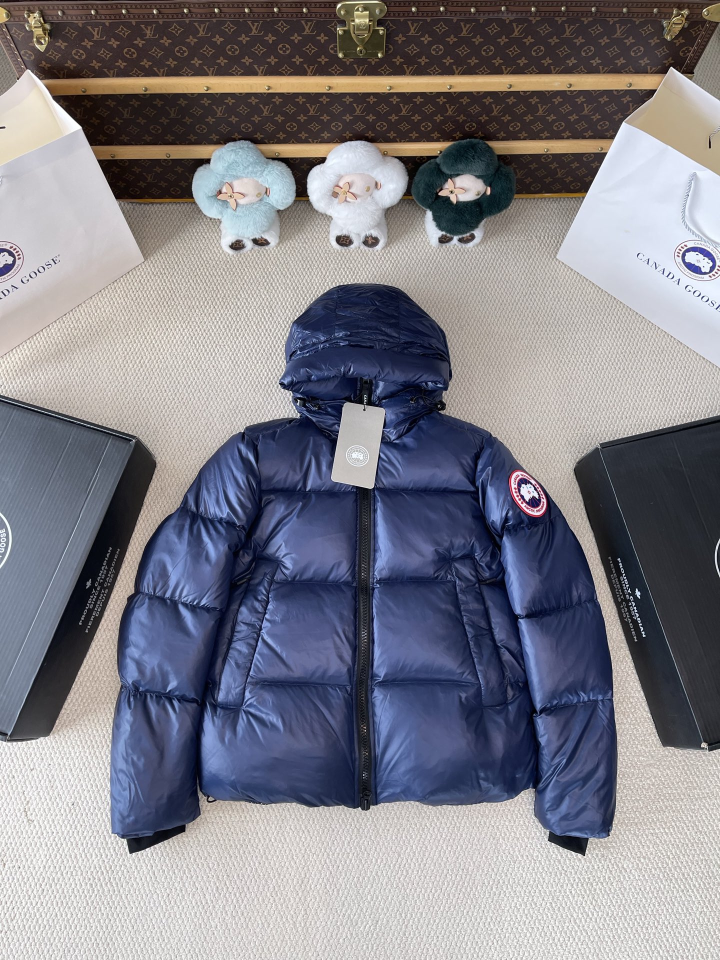 Gloss-Finish Hooded Puffer — product photograph