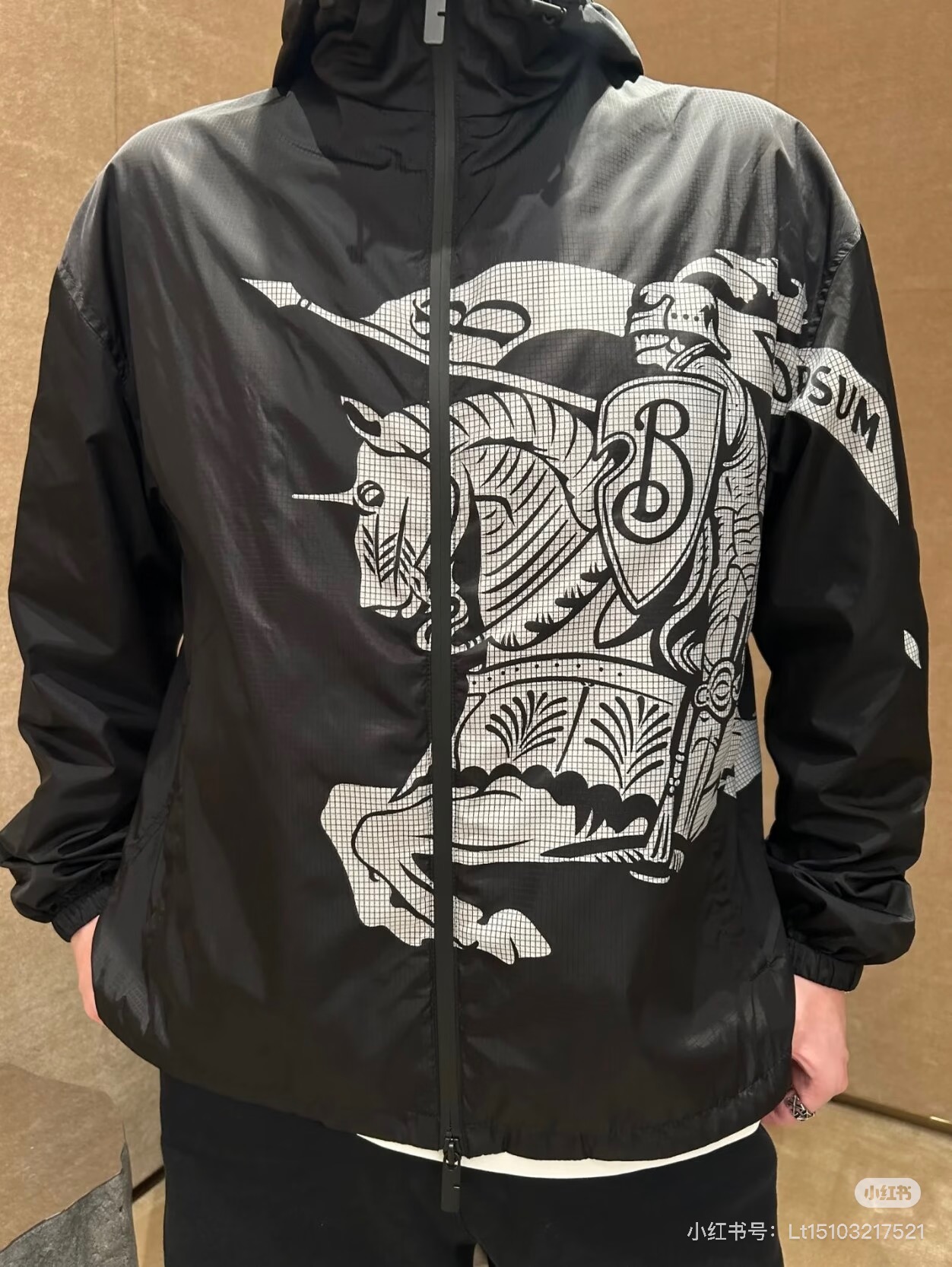 Large-Crest Graphic Windbreaker — product photograph