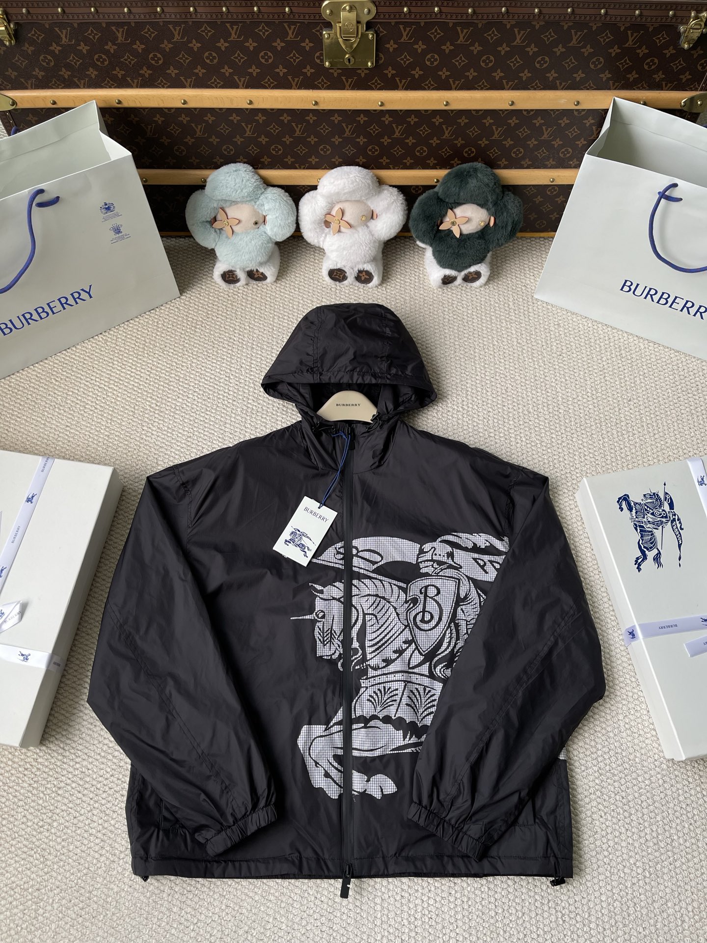 Large-Crest Graphic Windbreaker — product photograph