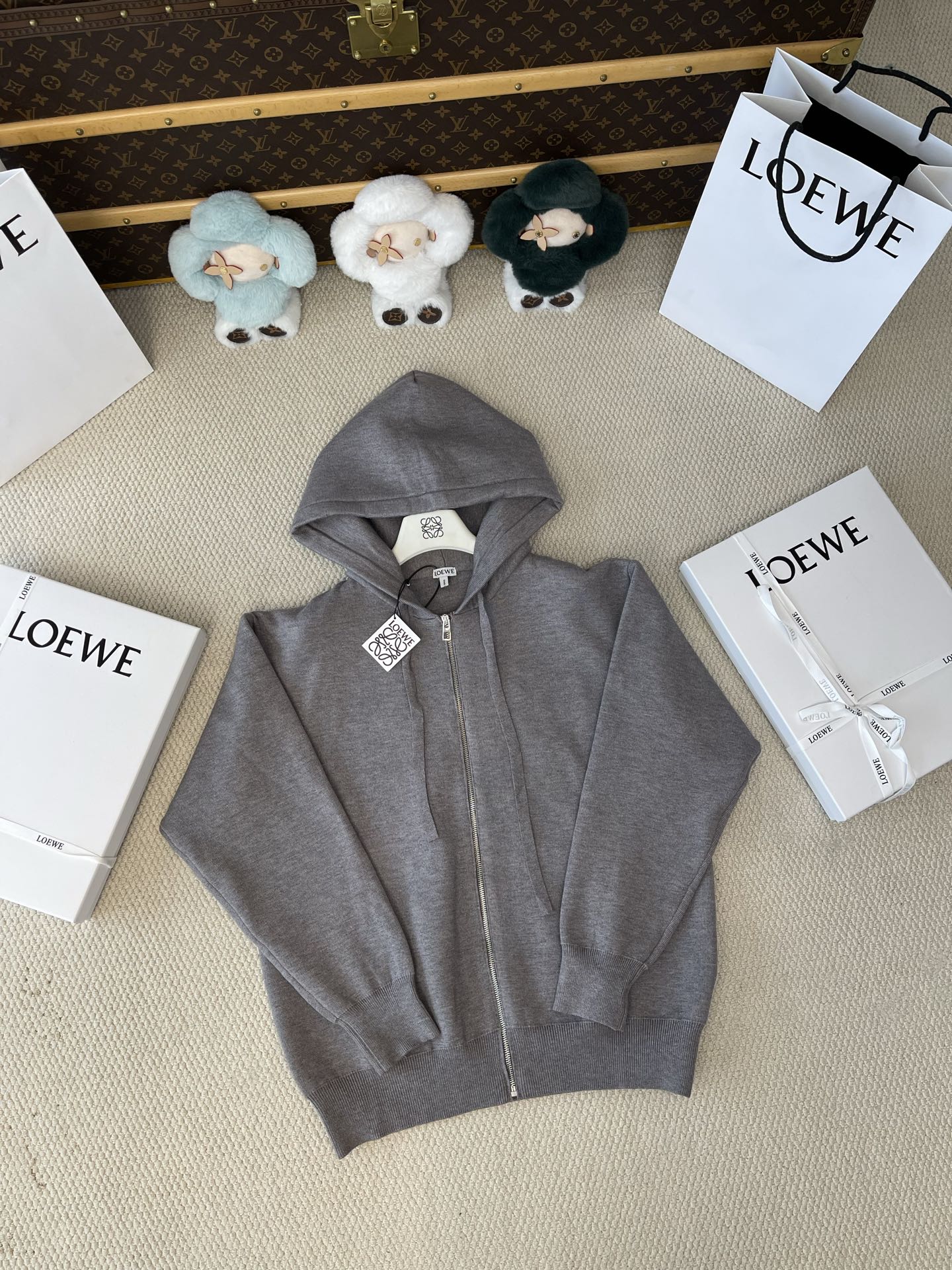Back-Anagram Zip-Up Hoodie — product photograph
