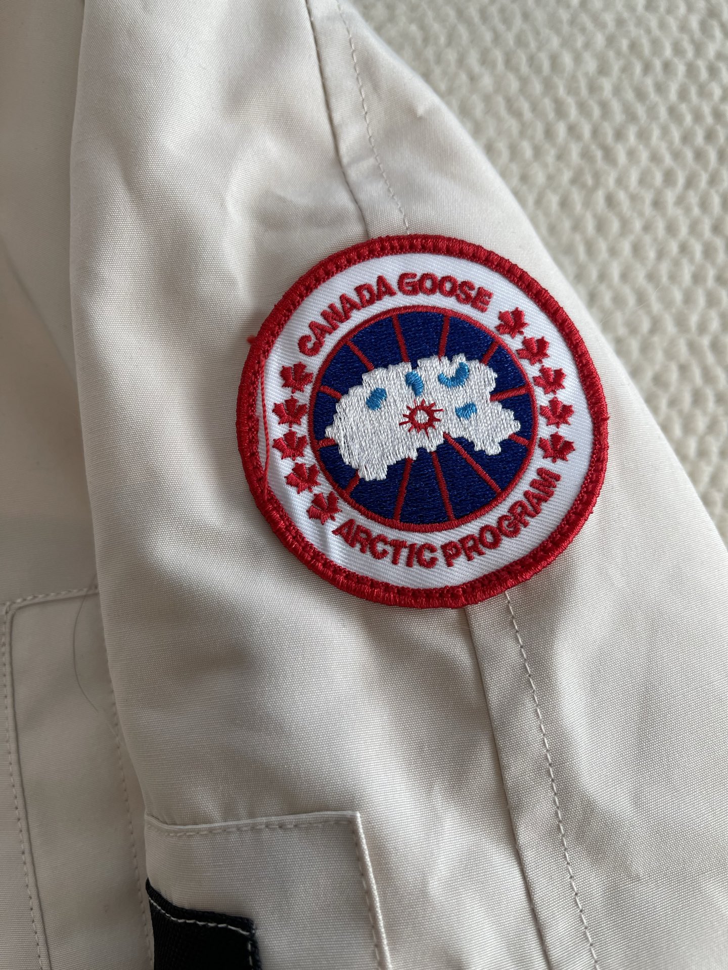 Trimmed-Hood Bomber Jacket — product photograph
