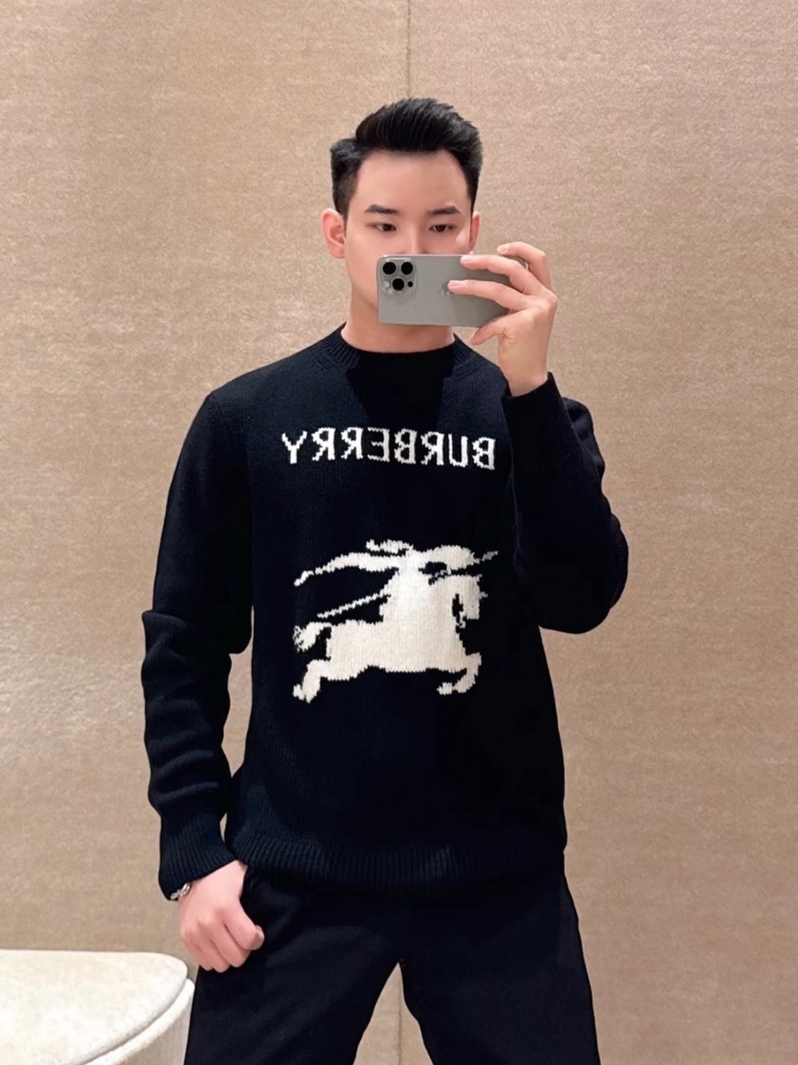 Horse-Graphic Wordmark Sweater — product photograph