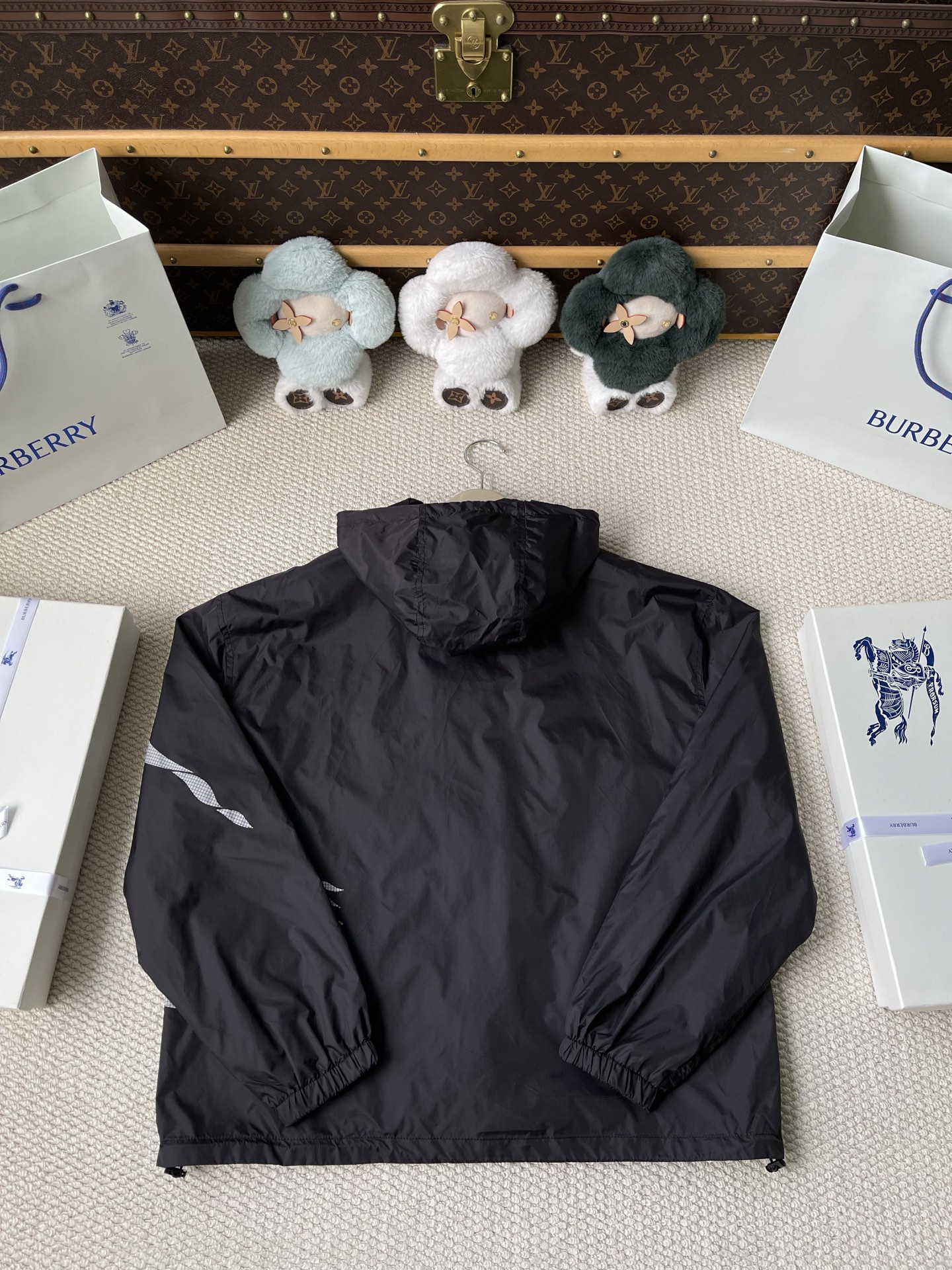 Large-Crest Graphic Windbreaker — product photograph