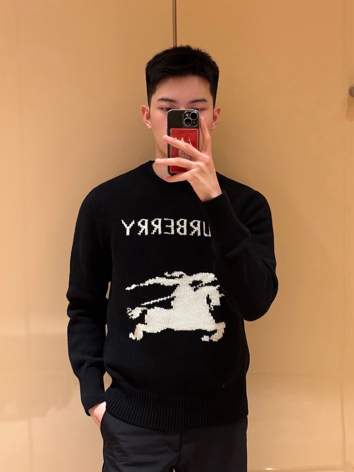 Horse-Graphic Wordmark Sweater — product photograph