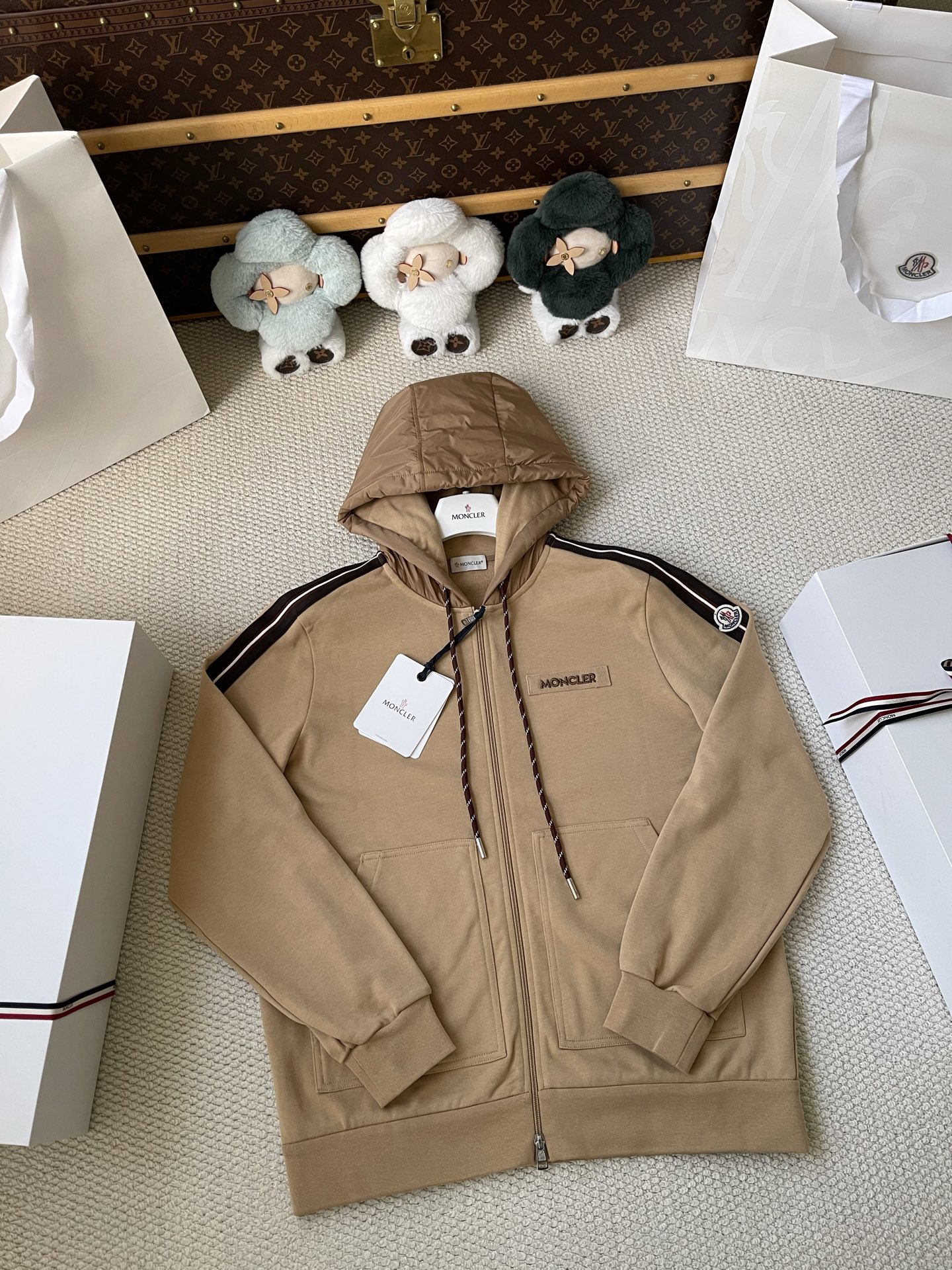 Sleeve-Stripe Zip Hoodie — product photograph