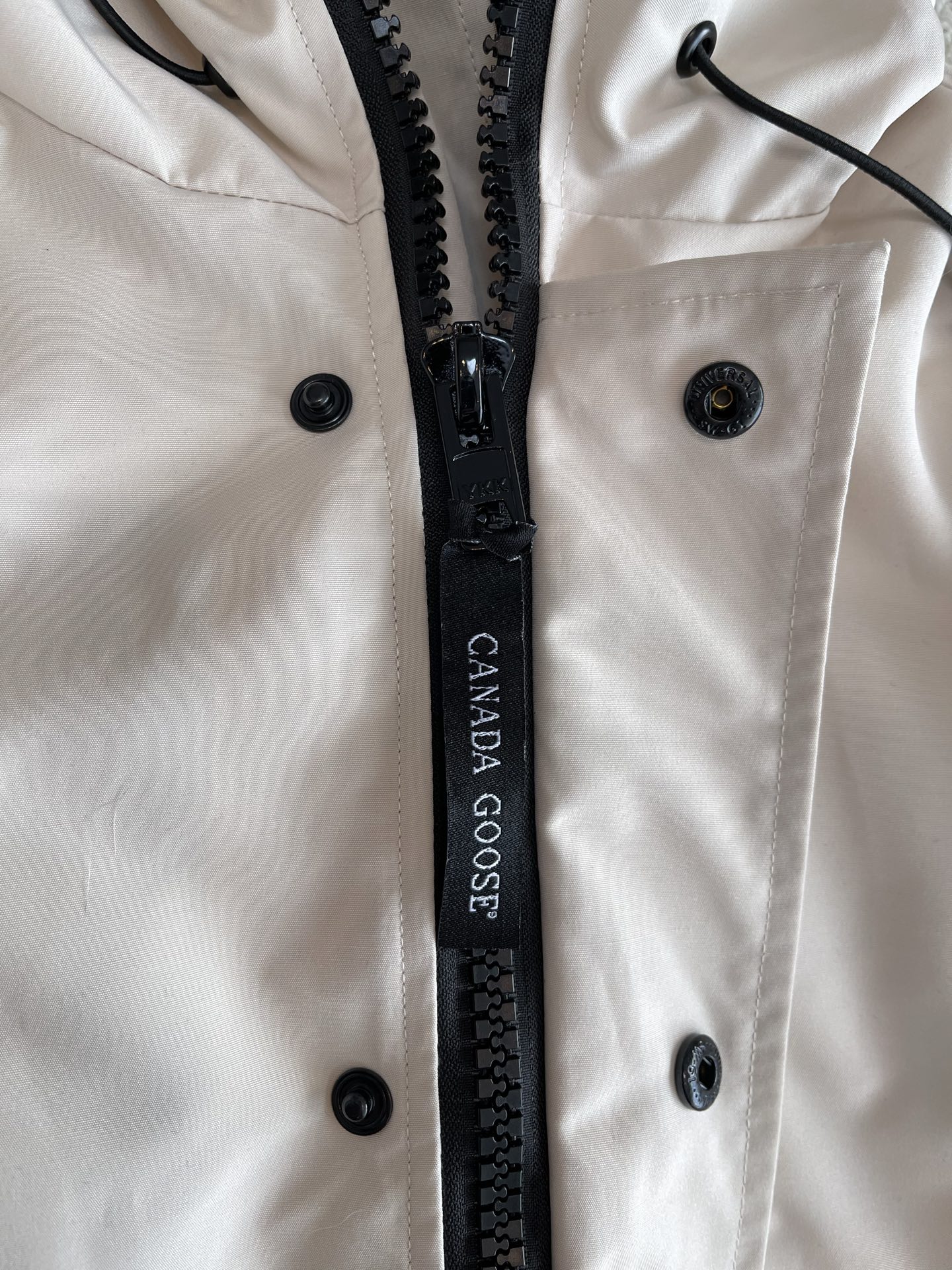 Trimmed-Hood Bomber Jacket — product photograph
